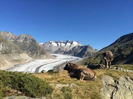 Almenrausch Βίλα Riederalp Εξωτερικό φωτογραφία